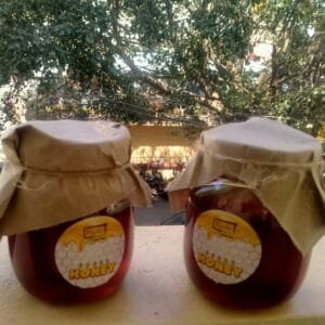 Coorg Floral honey